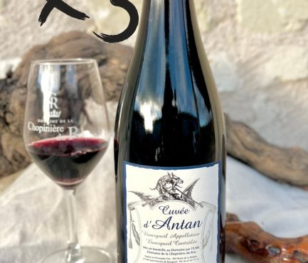 Domaine de la Chopinière du Roy - Lot de 3 Bouteilles de vin rouge Bourgueil cuvée d'Antan 2022 - 3 x 75 cl