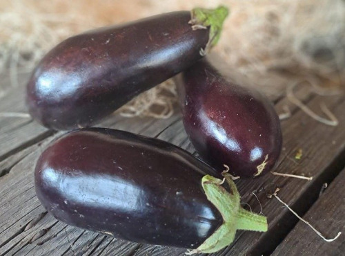 Les Jardins de Gérard - Aubergine violette Bio - 3 kg