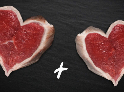 Nature viande - Offre St Valentin 2 Façon tournedos BIO limousine