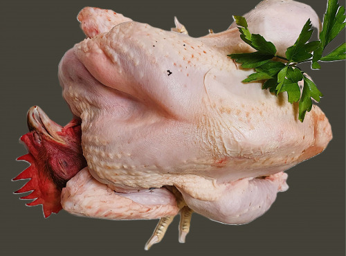 Ferme de la Paumerais - POULET EFFILE (x1) - 2,2 Kg