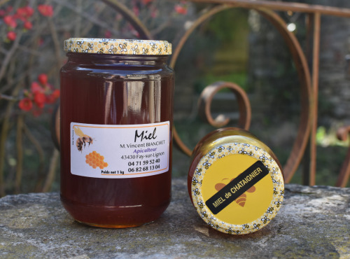 La Truite du Mézenc - Miel de Chataigner - 1kg