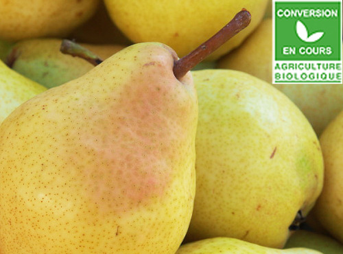 Mon Petit Producteur - Poire William's