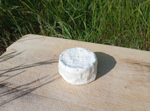 Ferme Ho'Rocher - Le marthod - Brebis Sec 150g