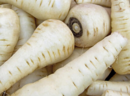 Maréchal Fraicheur - Panais - 1 kg