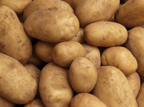 Les Jardins de Gérard - Pomme de terre Monalisa Bio - 1kg