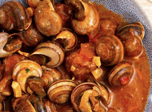 L'OLIVERAIE DU COUDON - Escargots sauce Catalane 380gr (avec coquille et une sauce épicée)