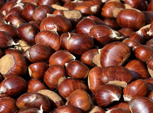 Naturélium - Châtaigne d’Ardèche Bouche Rouge – Calibre G1/G2, de 1 kg à 10 kg
