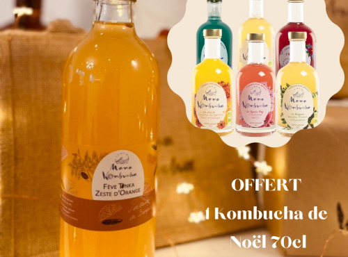 Mama Kombucha - LE PACKOMBUCHA 70cl - 6 bouteilles + 1 OFFERTE