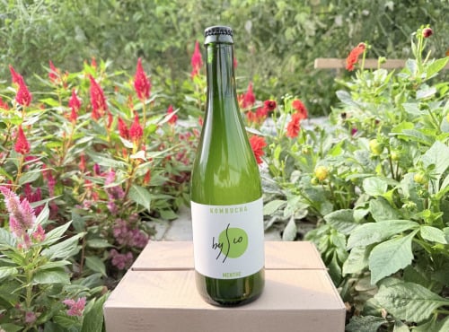 Nature et Saveurs - Ferme Aquaponique et Permacole Astérienne - Kombucha Menthe Bio Bysco - 75cl