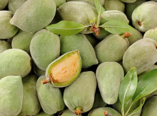 L'OLIVERAIE DU COUDON - AMANDONS D'AMANDES – 2,5 KG