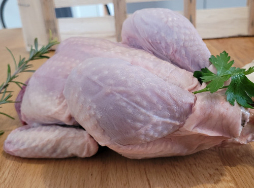Le Pré de la Rivière - [Précommande] Poulet bio de race cou-nu élevé en plein air 2,4kg spécial Noël (expédition le 21/12)