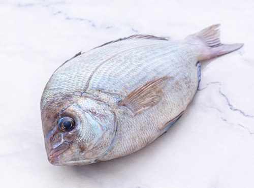 Poissonnerie La Piriacaise - Dorade grise entière - 1,5kg