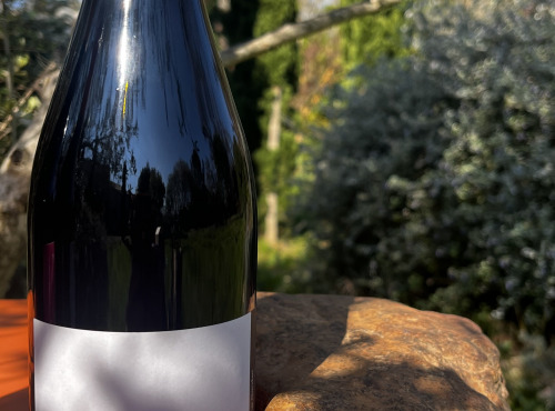 Domaine Giroflet - Petit Giroflet - 3 bouteilles