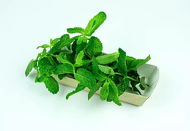 La Boite à Herbes - Menthe Fraîche - 5 Kg