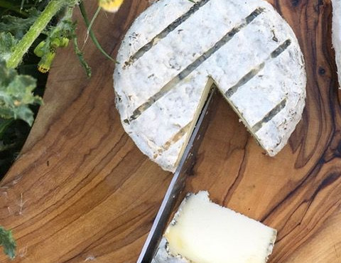 Ferme Fromagère Riès - Le Chèvrechou