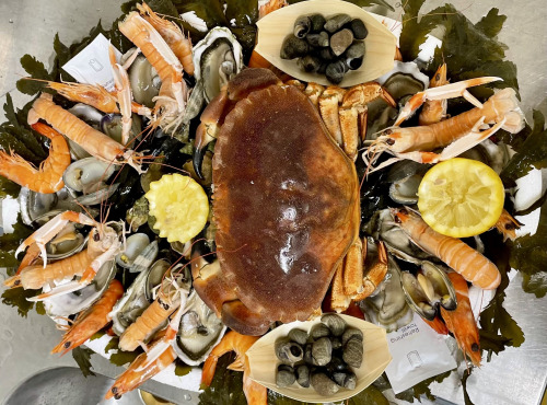 Le Termer - Plateau de fruits de mer 2