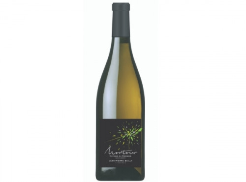 Domaine Bailly Jean-Pierre - Coteaux du Giennois Blanc Montour