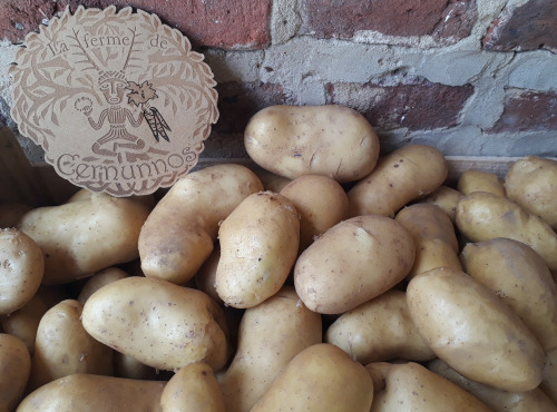 Ferme de Cernunnos - Pommes de terre Charlotte bio - 1 kg