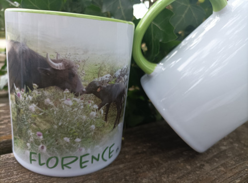 La Ferme de Souegnes - Mug bébé buffle et sa maman personnalisé