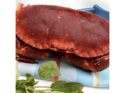 Poissonnerie Paon - Crabe Tourteau Cuit : A la pièce, 300g - 400g, Demi-crabe