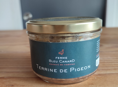 Ferme Bleu Canard - lot de 12 terrines de pigeon