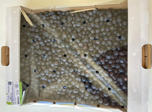 Myrtilles du Trimoulet - Myrtilles fraiches cultivées - Vrac 2.5 Kg