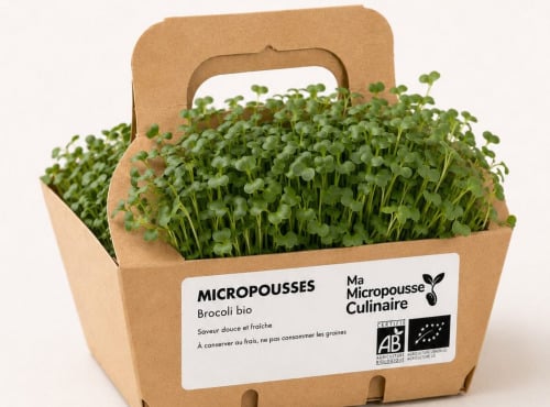 Ma Micropousse culinaire - Micro-pousses bio de brocoli Calabrese – 8 barquettes