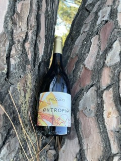 Terroirs de Corse - Vin Blanc Falcucci