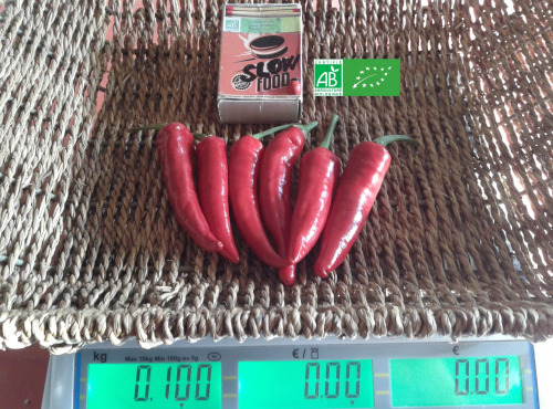 LES JARDINS DE KARINE - Piment frais rouge fort - 100g
