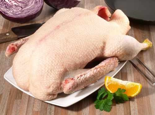 Ferme des Hautes Granges - Oie grasse entière sans le foie gras 6kg