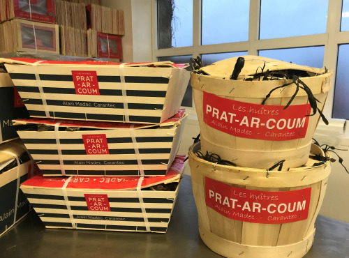 Huîtres Prat-Ar-Coum Alain Madec - Huître creuse PRAT-AR-COUM 96 N° 1 TG ( 8 dzs)