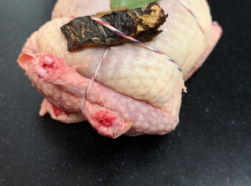 Terre de Gallie - Pigeon Farci Forestier