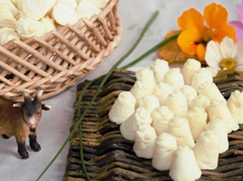 Ferme des bien-vivants - Les Apéro'Biques 200g