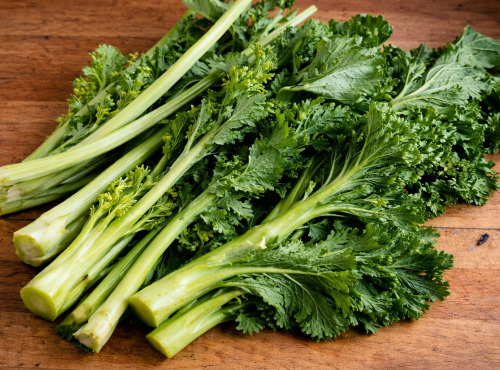 Nature et Saveurs - Ferme Aquaponique et Permacole Astérienne - Rioja – Hampe et Feuille