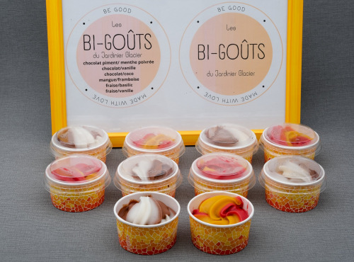 Le Jardinier Glacier - Lots de 10 glaces et sorbets bi-goûts