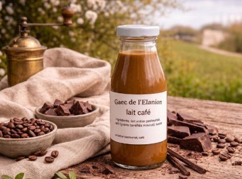 Gaec de l'Elanion - Lot 12 laits aromatisés