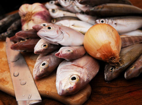 Luximer - Parures De Poissons - Lot De 2kg