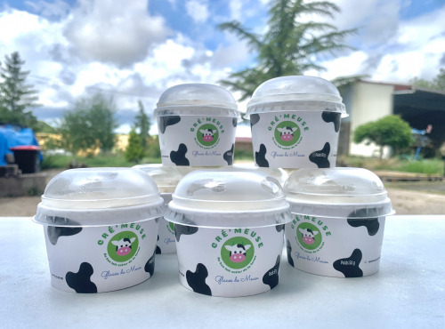 Glaces de Meuse - Coffret MINI POTS "Vanille Tahitensis" x 20 (-34% !!)