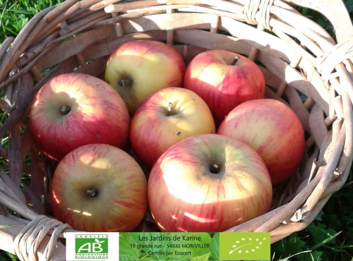 LES JARDINS DE KARINE - POMME à croquer Reine de Reinettes - 1kg
