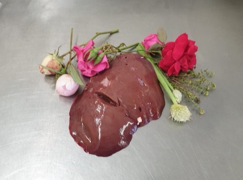 La Ferme du Montet - [SURGELÉ] FOIE Agneau