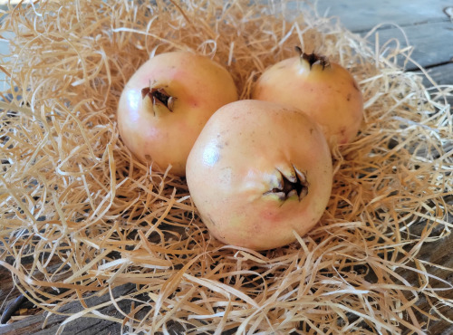 Les Jardins de Gérard - Grenade Bio 1kg