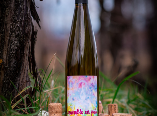 Domaine François WECK et fils - La Cuvée de la Paix  2023 - 75 cl