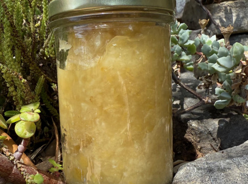 L’Oliveraie du Coudon - CREME DE CITRON CONFIT BIO (POT DE 200GR)