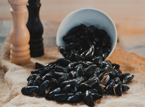Thalassa Tradition - Moules de Bouchot - 10kg