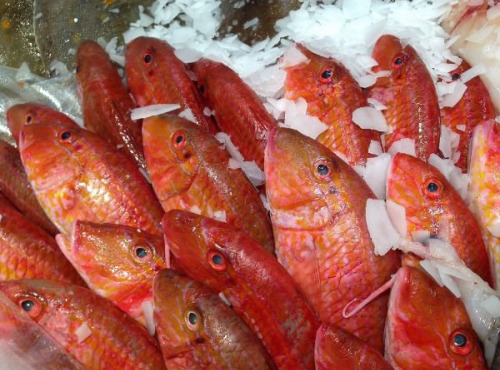 Notre poisson - Rouget Barbet écaillé vidé 300/500g en lot de 2kg