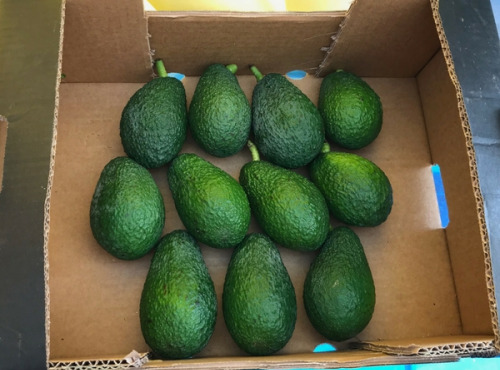 La Boite à Herbes - Avocat Frais, Pièce