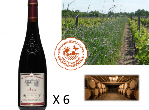 Château de Belleville Maison Baron - Aoc Anjou Rouge 2019 : Cuvée Du Toarcien. 6 Bouteilles
