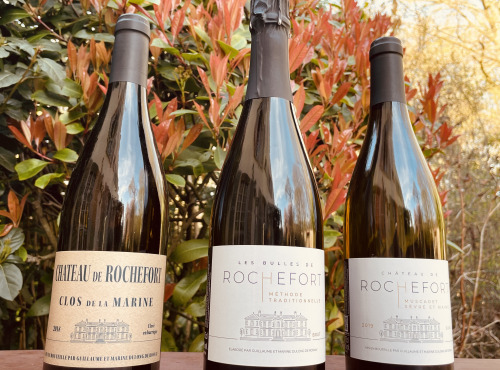 Château de ROCHEFORT - Coffret Muscadet AOP - Méthode Traditionnelles - 3 Bouteilles