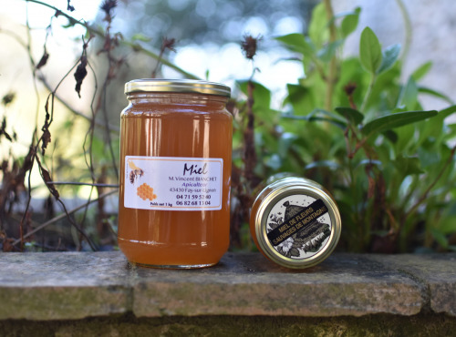 La Truite du Mézenc - Miel de Montagne - 1kg