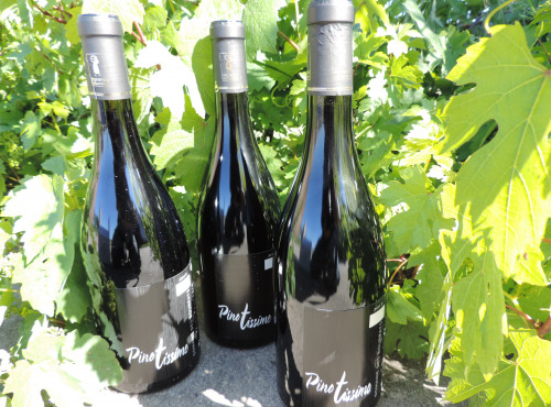 Domaine des Bourrats - Saint Pourçain AOC Rouge Cuvée Pinotissime - 3 bouteilles